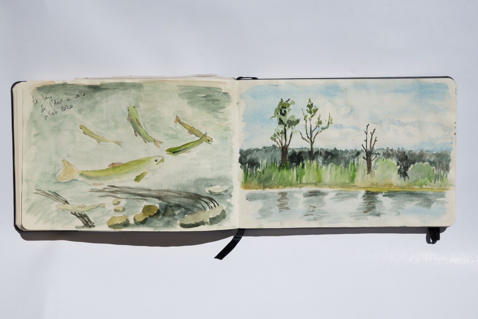 Techniques diverses, 10X20cm