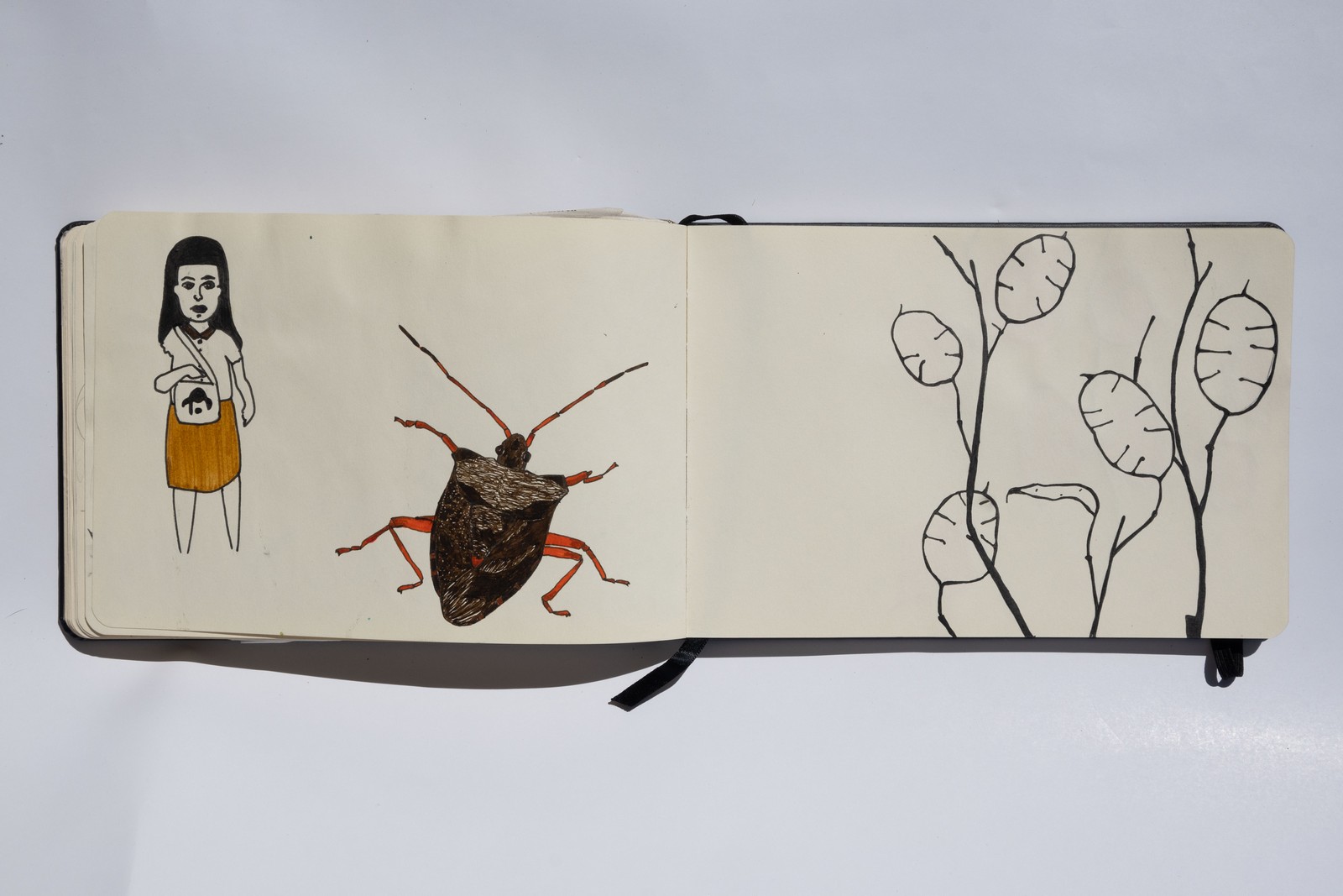 Techniques diverses, 10X20cm