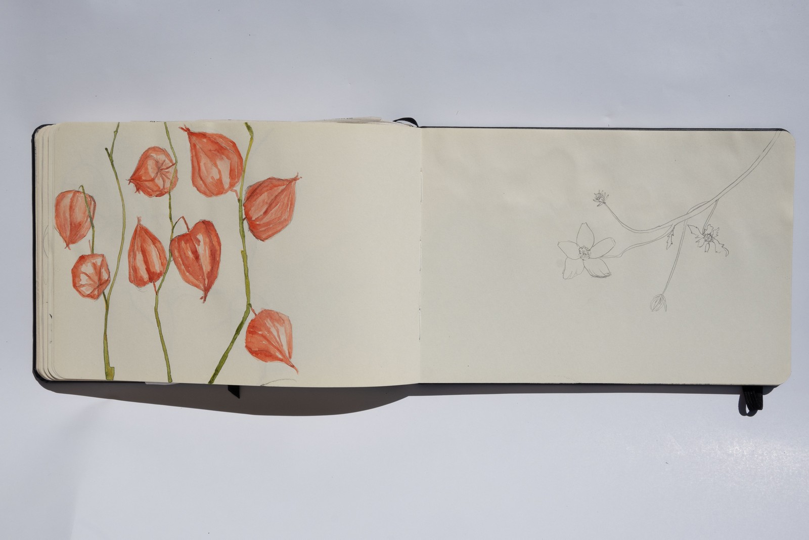 Techniques diverses, 10X20cm